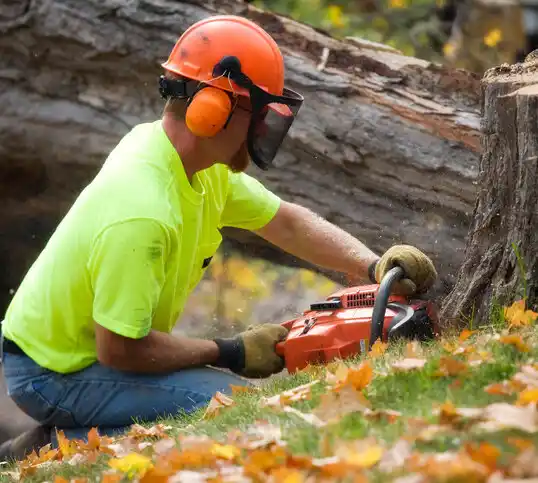 tree services Bismarck